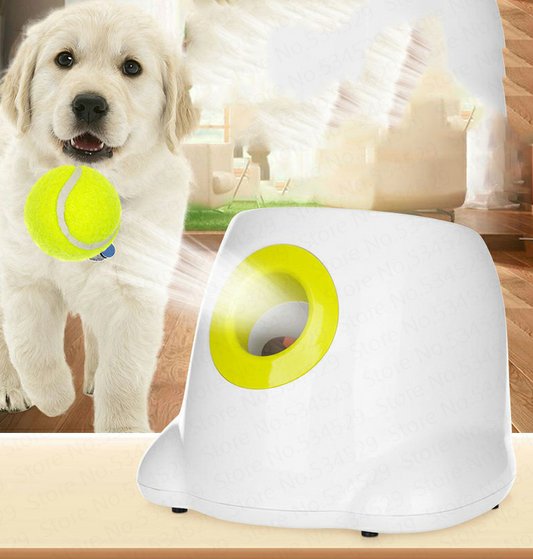 Lançador Automático de Bolas para Cães 🎾🐶