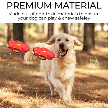 Frisbee Multifuncional para Cães 🥏🐶